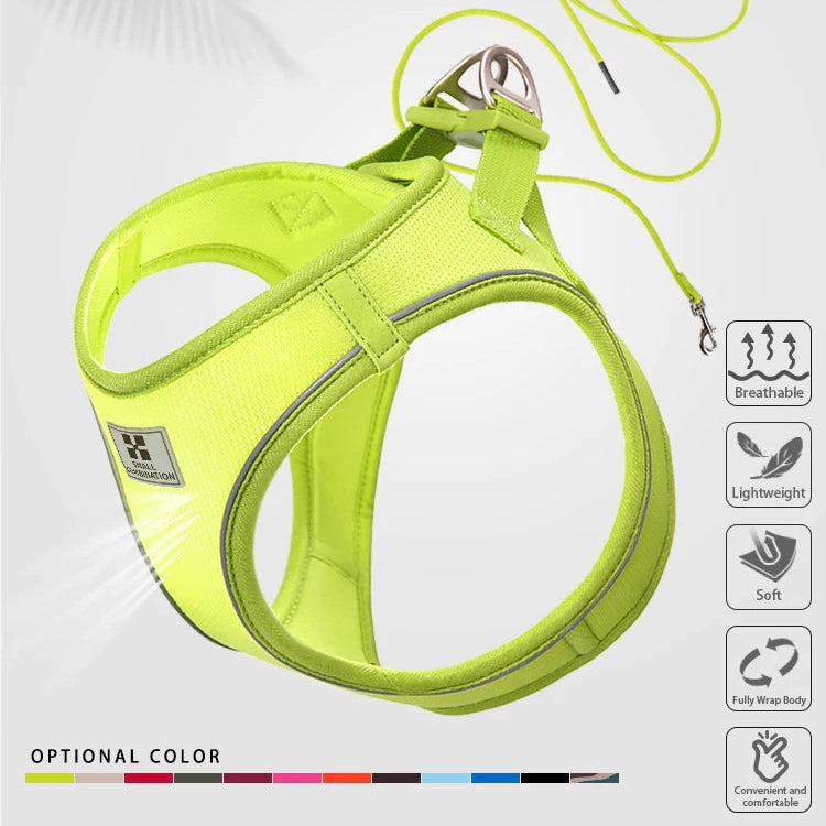 Reflective Dog Harness & Leash Set - Adjustable & Comfortable