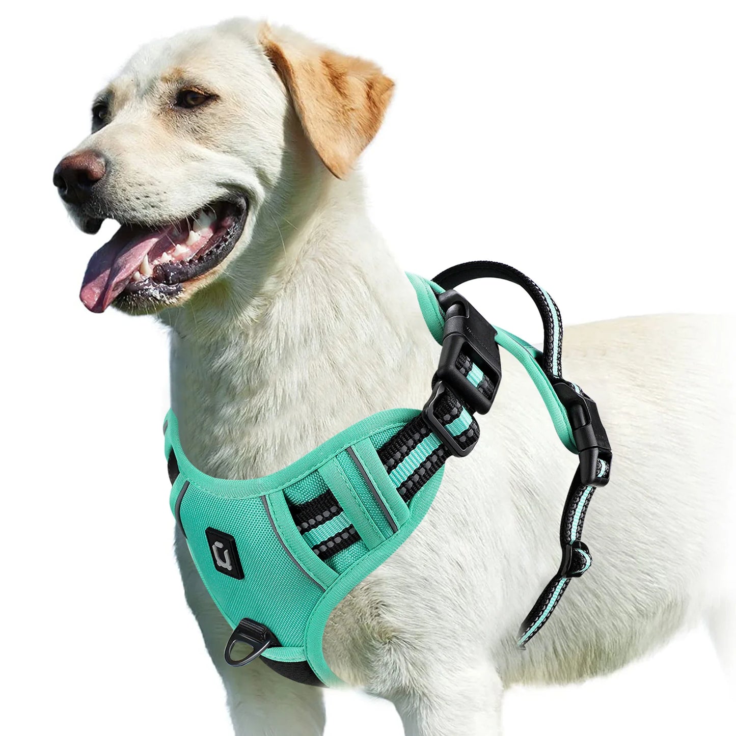 Ultimate No Pull Dog Harness with Reflective Safety