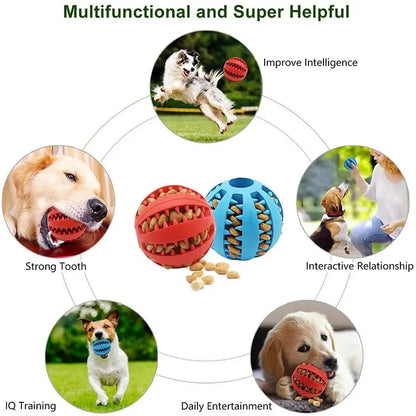 ChewFun Ball™ – Fun, intelligence, and health in one single ball