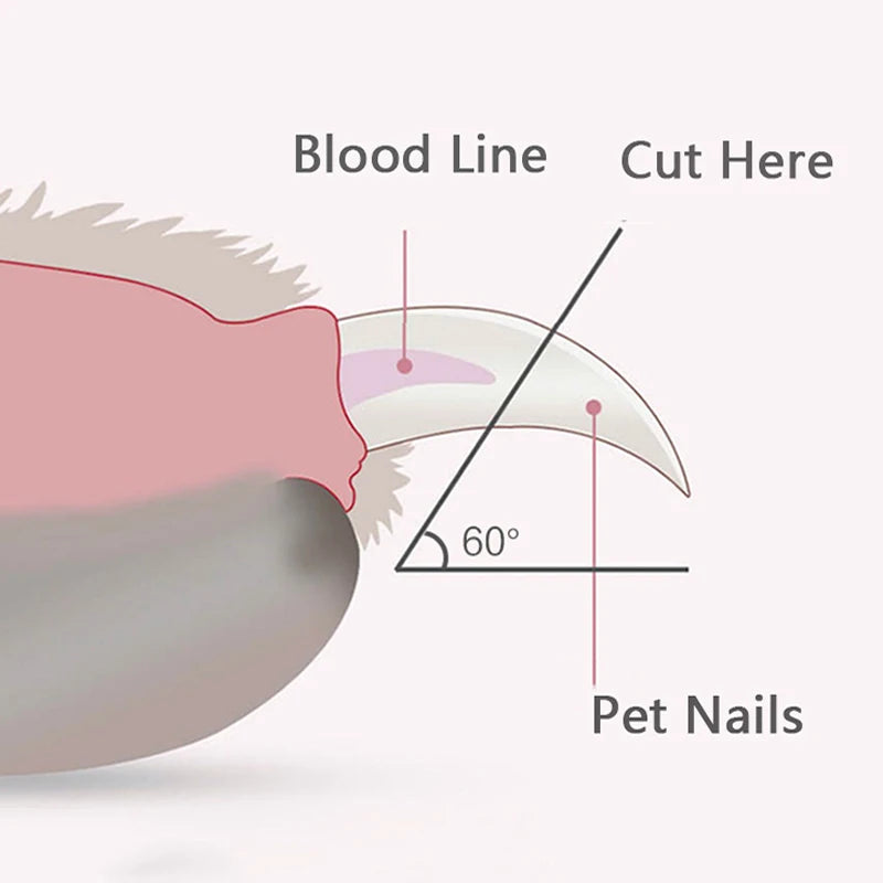 SafeCut LED - Safe Nail Clipper with Light