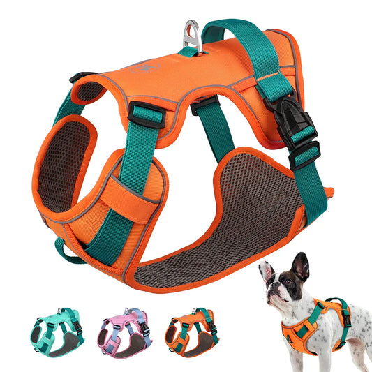 Adjustable Dog Harness