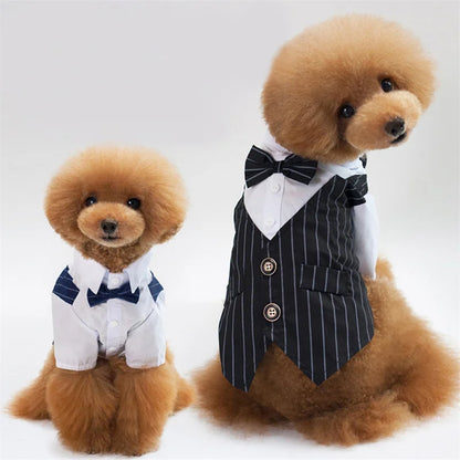 Elegant Dog Tuxedo with Bow Tie for Special Occasions