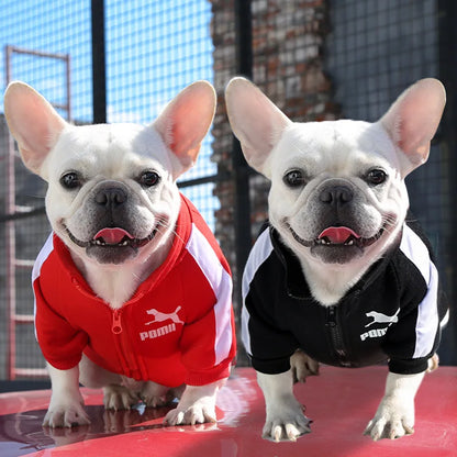 Stylish Winter Jacket for Small and Medium Dogs