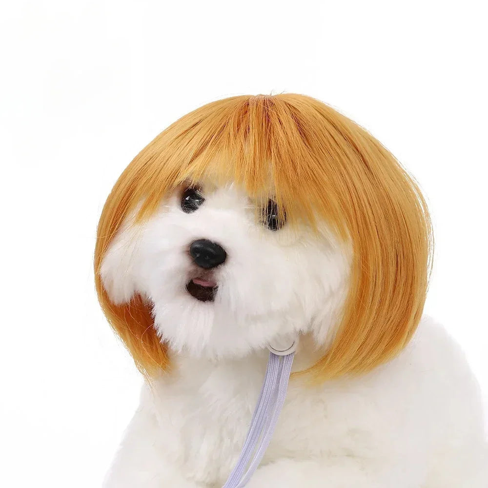 Fun & Stylish Pet Wigs for Dogs & Cats - Cosplay & Photoshoot Accessory