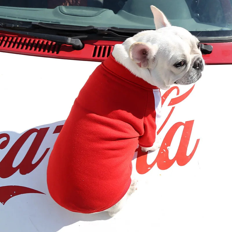 Stylish Winter Jacket for Small and Medium Dogs