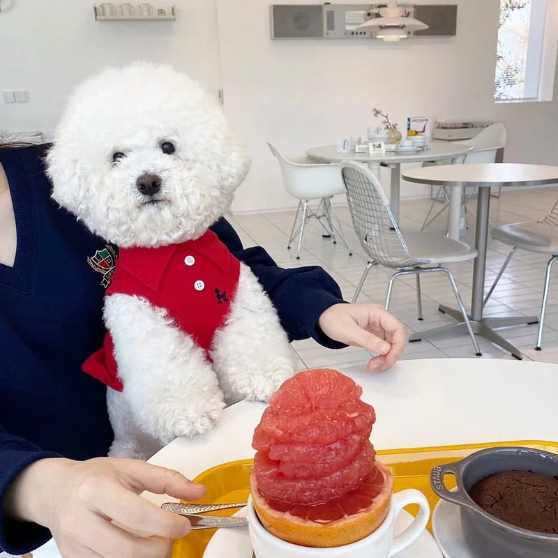 Stylish Summer Polo Shirt for Small & Medium Dogs