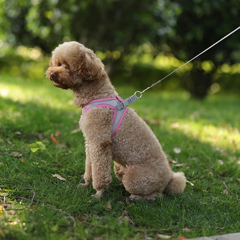 Adjustable Reflective Harness & Leash Set for Small Dogs