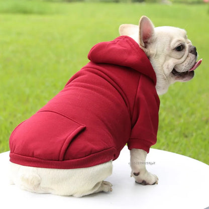Cozy Winter Hoodie for Small to Medium Pets