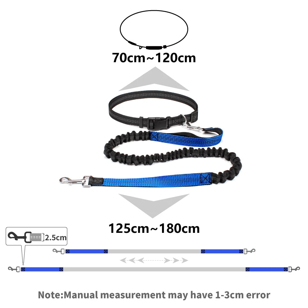 Hands-Free Adjustable Dog Leash for Active Pet Owners