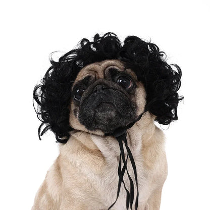 Fun & Stylish Pet Wigs for Dogs & Cats - Cosplay & Photoshoot Accessory