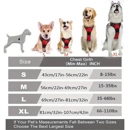 Heavy-Duty Dog Harness
