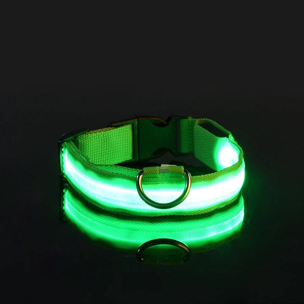 SafeGlow Collar™ – Luminous Safety for Pets