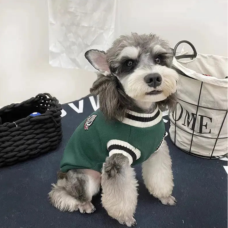 Cozy V-Neck Knit Sweater for Small Pets