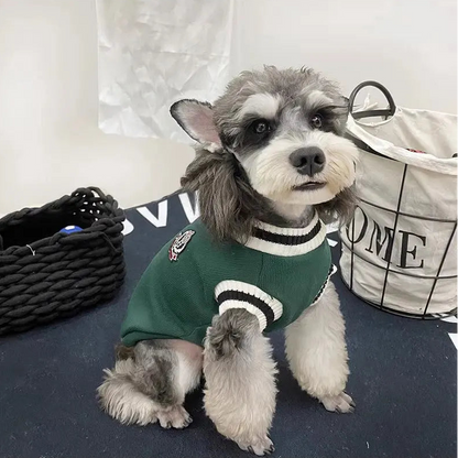 Cozy V-Neck Knit Sweater for Small Pets