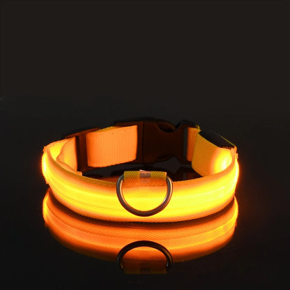 SafeGlow Collar™ – Luminous Safety for Pets