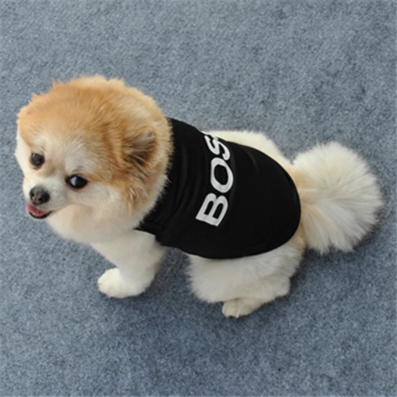 Summer Security Vest for Small Dogs & Cats