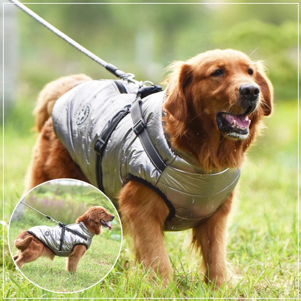 Ultimate Winter Dog Jacket with Harness - Waterproof & Warm