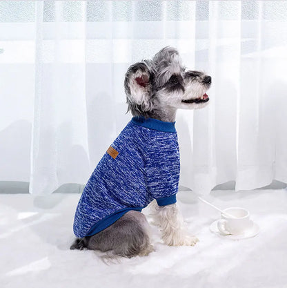 Cozy Winter Sweater for Small Dogs & Cats