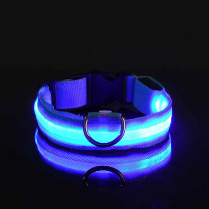 SafeGlow Collar™ – Luminous Safety for Pets
