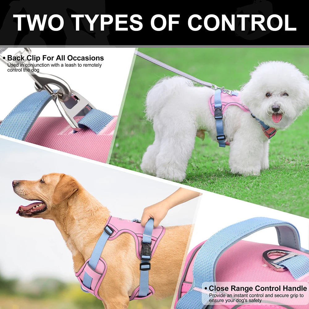 Adjustable Dog Harness
