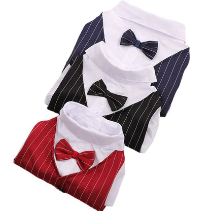 Elegant Dog Tuxedo with Bow Tie for Special Occasions
