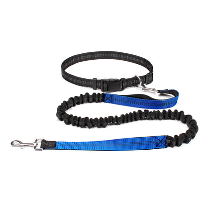 Hands-Free Adjustable Dog Leash for Active Pet Owners