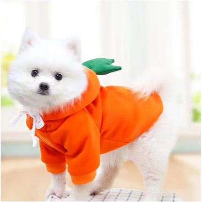 Fun Pet Hoodies Collection - Cosy & Stylish Sweaters for Small to Medium Dogs & Cats