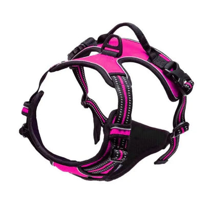 Heavy-Duty Dog Harness