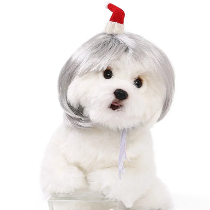 Fun & Stylish Pet Wigs for Dogs & Cats - Cosplay & Photoshoot Accessory