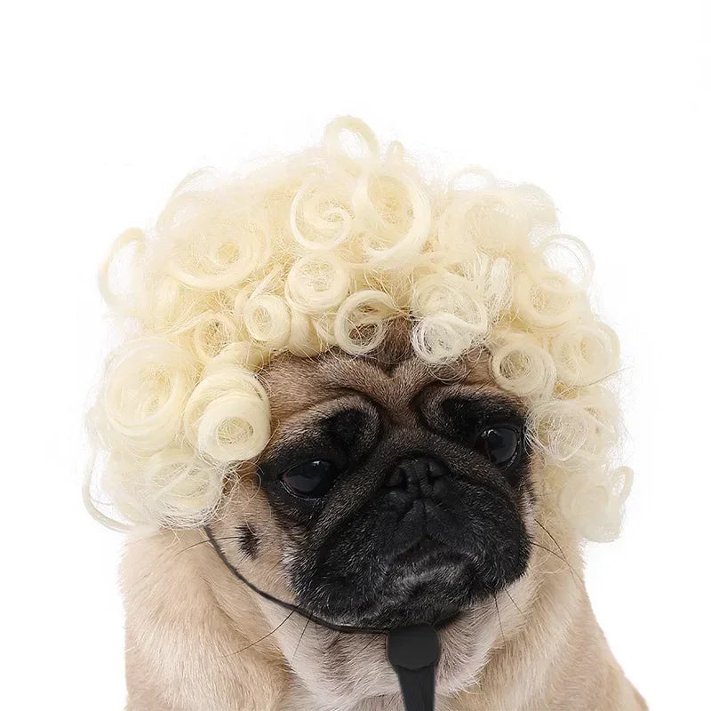 Fun & Stylish Pet Wigs for Dogs & Cats - Cosplay & Photoshoot Accessory