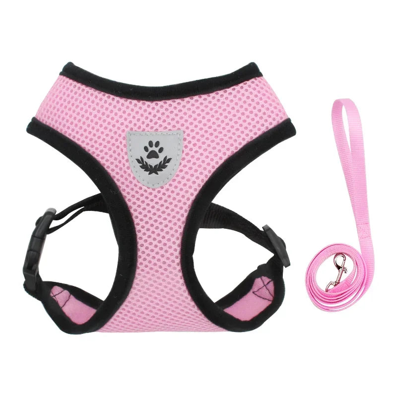 Adjustable and Breathable Harness for Dogs and Cats