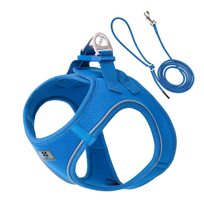 Reflective Dog Harness & Leash Set - Adjustable & Comfortable