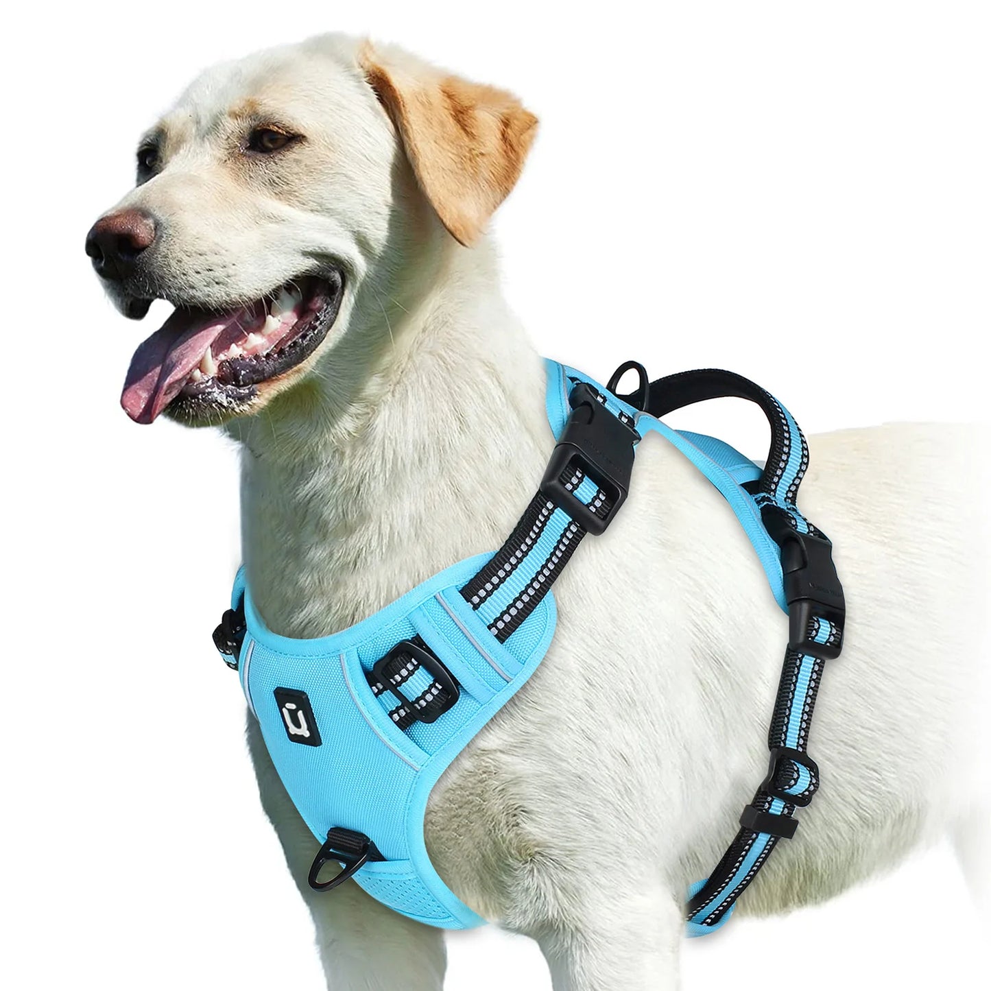 Ultimate No Pull Dog Harness with Reflective Safety