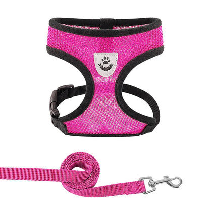 Adjustable and Breathable Harness for Dogs and Cats