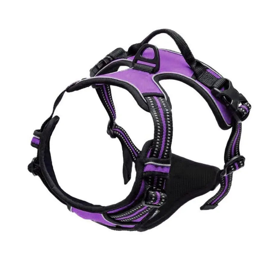 Heavy-Duty Dog Harness