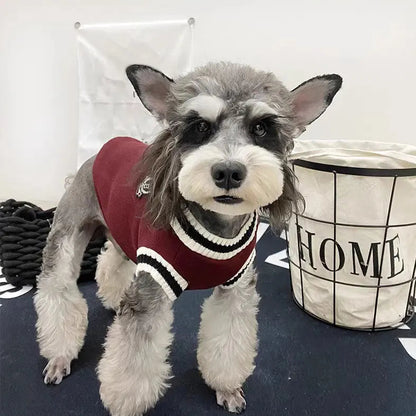 Cozy V-Neck Knit Sweater for Small Pets