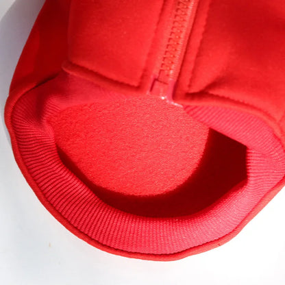 Stylish Winter Jacket for Small and Medium Dogs