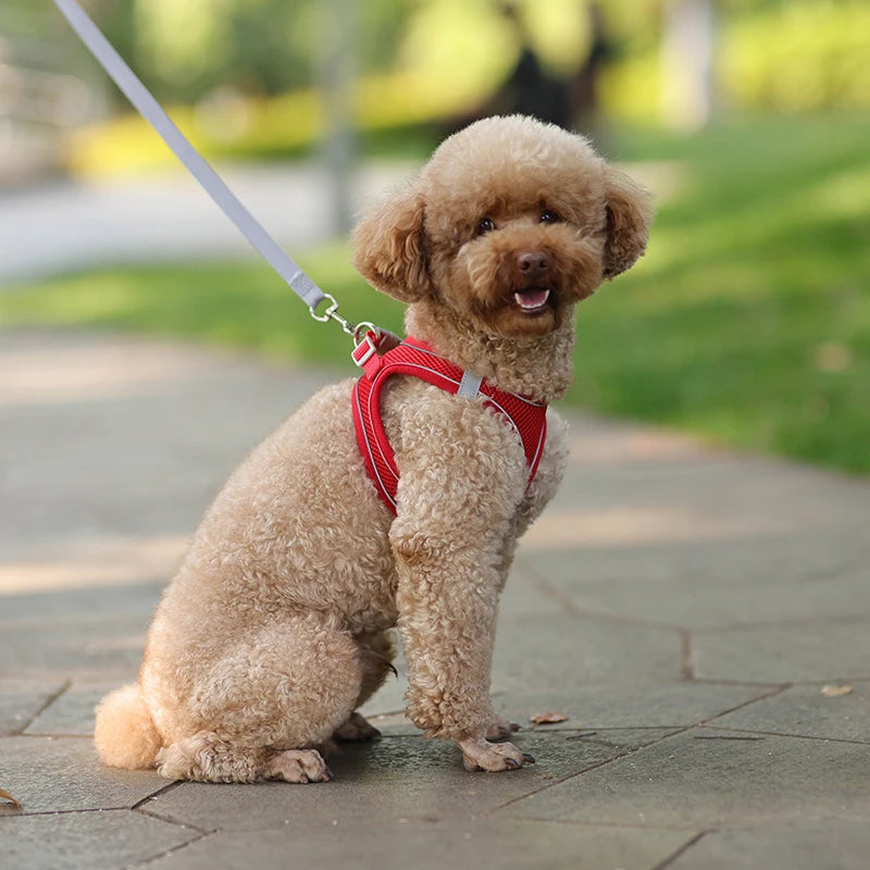 Adjustable Reflective Harness & Leash Set for Small Dogs