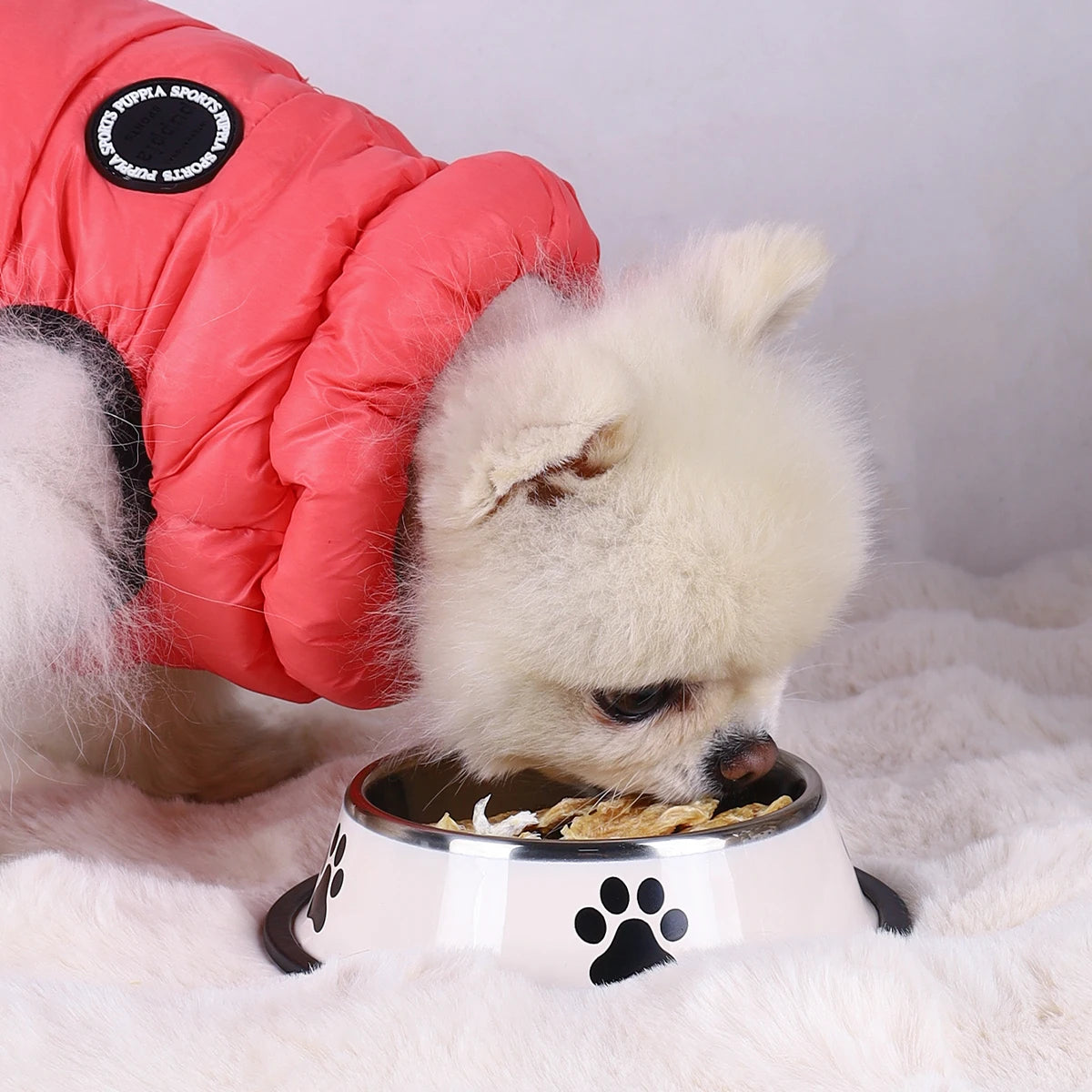 Premium Stainless Steel Pet Feeding Bowl - Anti-Slip Design
