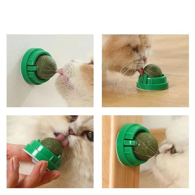 Catnip Wall Ball Toy for Cats - Digestive Health & Fun