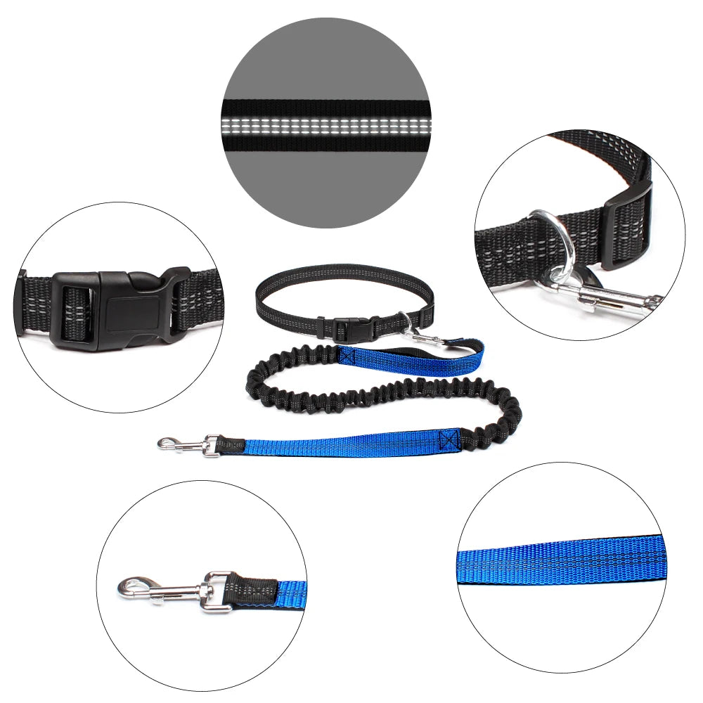 Hands-Free Adjustable Dog Leash for Active Pet Owners