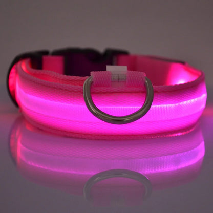 SafeGlow Collar™ – Luminous Safety for Pets