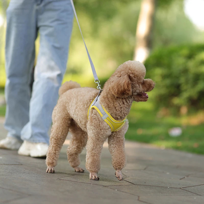 Adjustable Reflective Harness & Leash Set for Small Dogs