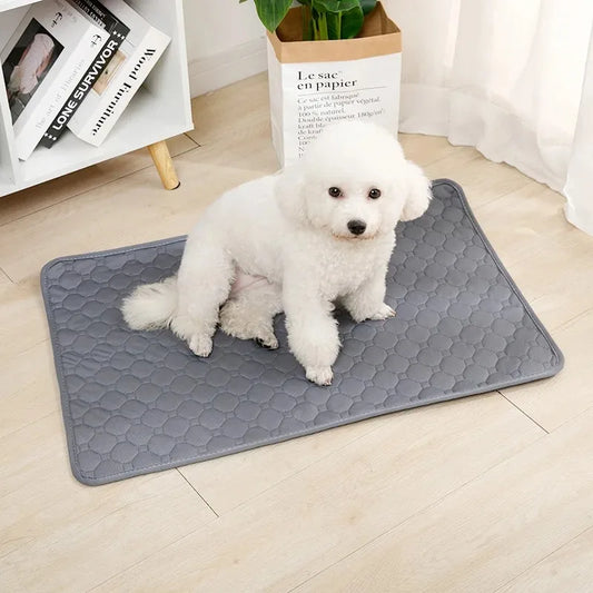 DryPaws Pad™ – Washable Absorbent Mat