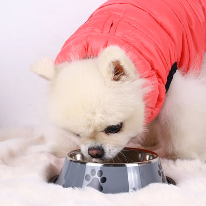 Premium Stainless Steel Pet Feeding Bowl - Anti-Slip Design