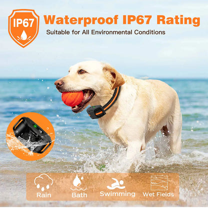 Smart Control Training Collar