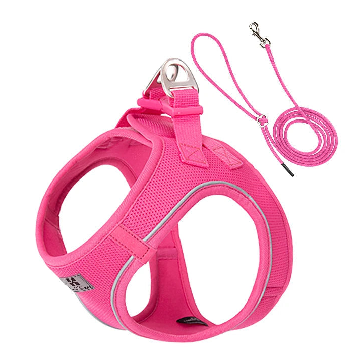 Reflective Dog Harness & Leash Set - Adjustable & Comfortable