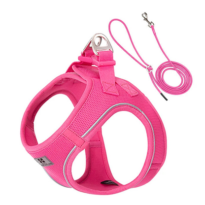 Reflective Dog Harness & Leash Set - Adjustable & Comfortable