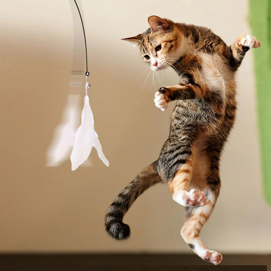 Interactive Cat Teaser Toy with Suction Cup