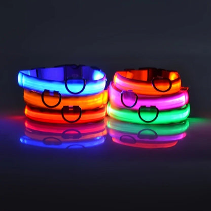 SafeGlow Collar™ – Luminous Safety for Pets